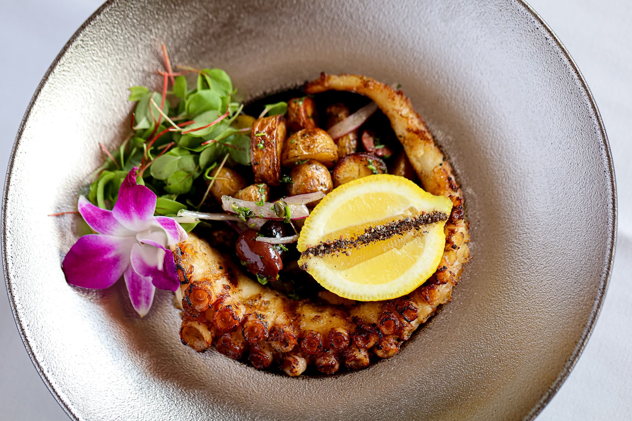 La Rosa Gallery 1